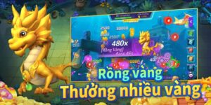 ban-ca-than-rong